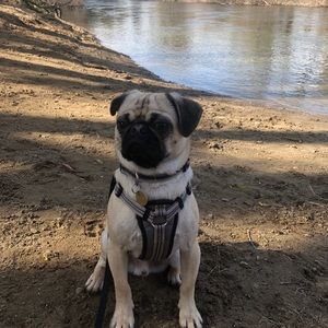 Meet your Posher, Lexi